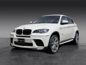 BMW X6 xDrive 3.5i M Performance Accessories 2010 года